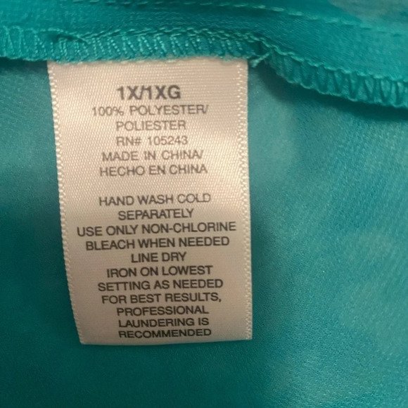 Ana sheer green blue color blouse with gold bead embellishment size 1x plus - Picture 4 of 5